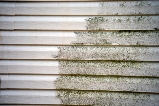 Best Moving and Downsizing Cleanouts  in Park Forest, IL
